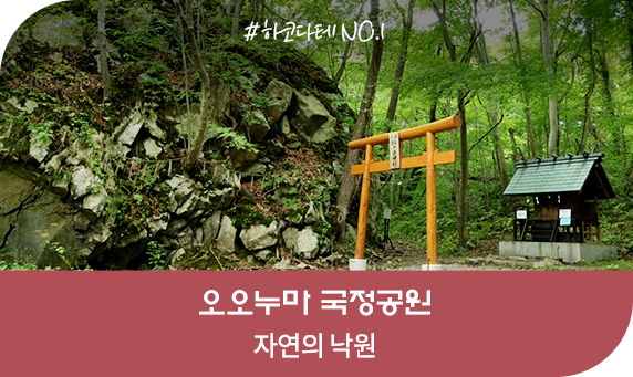 카파도키아